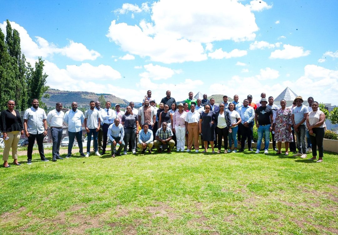 The DNS Resilience Training and Research Activity